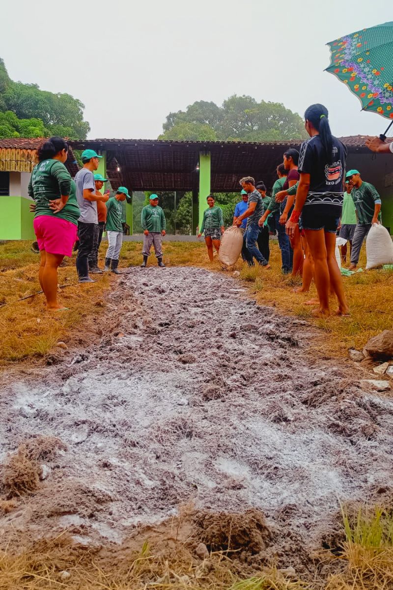 Matéria - Formação de agentes agroflorestais avança na Terra Indígena Alto Rio Guamá com foco em sustentabilidade
Fotos: DGBio/IDEFLOR-Bio/Divulgação
<div class='credito_fotos'>Foto: ASCOM / IDEFLOR-BIO | <a href='/midias/2024/originais/20801_5521dd3e-2d1f-2a14-05ae-387fe5027ea0.jpg' download><i class='fa-solid fa-download'></i> Download</a></div>