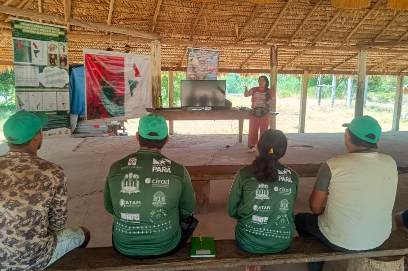 Matéria - Formação de agentes agroflorestais avança na Terra Indígena Alto Rio Guamá com foco em sustentabilidade
Fotos: DGBio/IDEFLOR-Bio/Divulgação
<div class='credito_fotos'>Foto: ASCOM / IDEFLOR-BIO | <a href='/midias/2024/originais/20801_5d82da3c-ce84-8bf0-a2d5-ebc7d8f53cf4.jpg' download><i class='fa-solid fa-download'></i> Download</a></div>