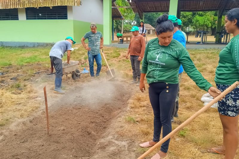 Matéria - Formação de agentes agroflorestais avança na Terra Indígena Alto Rio Guamá com foco em sustentabilidade
Fotos: DGBio/IDEFLOR-Bio/Divulgação
<div class='credito_fotos'>Foto: ASCOM / IDEFLOR-BIO | <a href='/midias/2024/originais/20801_6ce129b5-979a-7025-b06c-98a98e2a5079.jpg' download><i class='fa-solid fa-download'></i> Download</a></div>