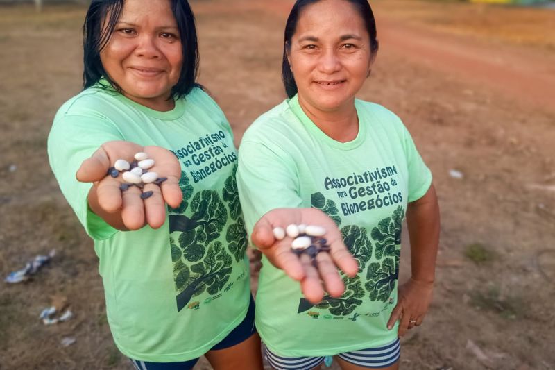 Matéria - Formação de agentes agroflorestais avança na Terra Indígena Alto Rio Guamá com foco em sustentabilidade
Fotos: DGBio/IDEFLOR-Bio/Divulgação
<div class='credito_fotos'>Foto: ASCOM / IDEFLOR-BIO | <a href='/midias/2024/originais/20801_81b3fe00-c6ff-aa94-2f46-52296d10f544.jpg' download><i class='fa-solid fa-download'></i> Download</a></div>