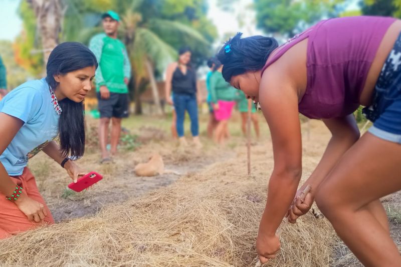 Matéria - Formação de agentes agroflorestais avança na Terra Indígena Alto Rio Guamá com foco em sustentabilidade
Fotos: DGBio/IDEFLOR-Bio/Divulgação
<div class='credito_fotos'>Foto: ASCOM / IDEFLOR-BIO | <a href='/midias/2024/originais/20801_83832cf7-e1f1-4df5-2b4a-4b3b2d119a33.jpg' download><i class='fa-solid fa-download'></i> Download</a></div>