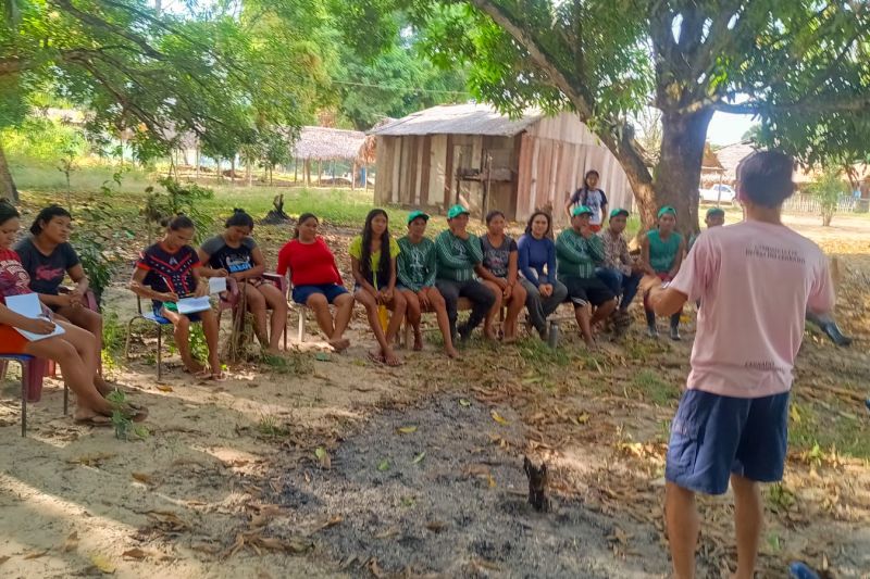 Matéria - Formação de agentes agroflorestais avança na Terra Indígena Alto Rio Guamá com foco em sustentabilidade
Fotos: DGBio/IDEFLOR-Bio/Divulgação
<div class='credito_fotos'>Foto: ASCOM / IDEFLOR-BIO | <a href='/midias/2024/originais/20801_8f19906e-a05e-a1c1-e0f7-4c2d1091f246.jpg' download><i class='fa-solid fa-download'></i> Download</a></div>