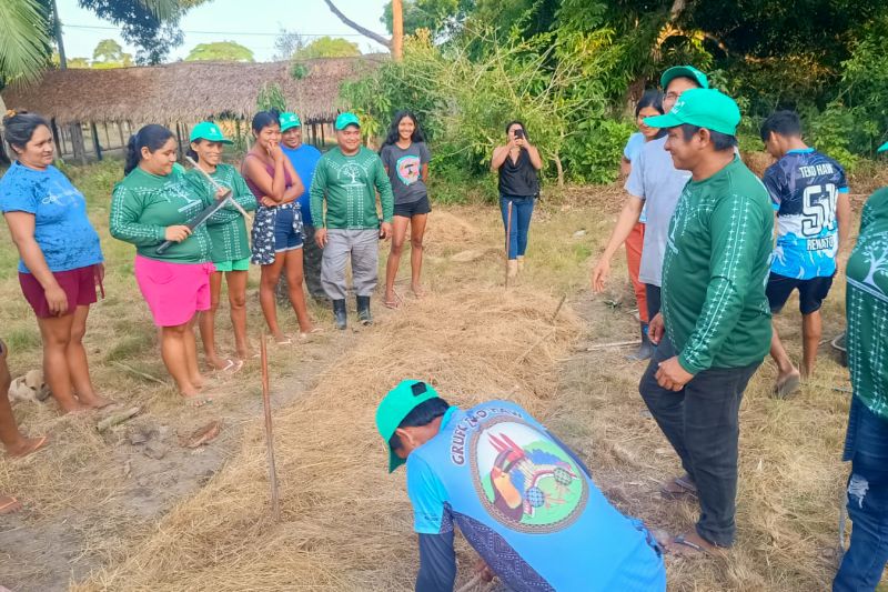 Matéria - Formação de agentes agroflorestais avança na Terra Indígena Alto Rio Guamá com foco em sustentabilidade
Fotos: DGBio/IDEFLOR-Bio/Divulgação
<div class='credito_fotos'>Foto: ASCOM / IDEFLOR-BIO | <a href='/midias/2024/originais/20801_9948331e-e82e-3bd8-309e-23ef2c5dfccd.jpg' download><i class='fa-solid fa-download'></i> Download</a></div>