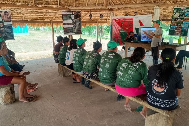Matéria - Formação de agentes agroflorestais avança na Terra Indígena Alto Rio Guamá com foco em sustentabilidade
Fotos: DGBio/IDEFLOR-Bio/Divulgação
<div class='credito_fotos'>Foto: ASCOM / IDEFLOR-BIO | <a href='/midias/2024/originais/20801_9c68566f-6edf-0928-748e-c9116abd3206.jpg' download><i class='fa-solid fa-download'></i> Download</a></div>