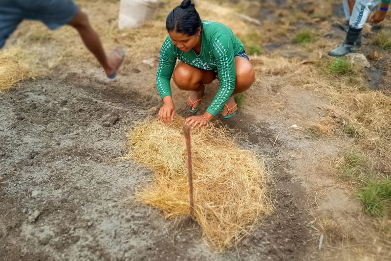 Matéria - Formação de agentes agroflorestais avança na Terra Indígena Alto Rio Guamá com foco em sustentabilidade
Fotos: DGBio/IDEFLOR-Bio/Divulgação
<div class='credito_fotos'>Foto: ASCOM / IDEFLOR-BIO | <a href='/midias/2024/originais/20801_a63f846a-56e4-8dfc-8993-1291a25dc932.jpg' download><i class='fa-solid fa-download'></i> Download</a></div>