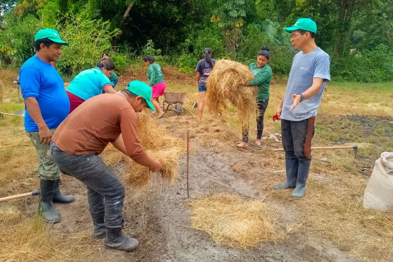 Matéria - Formação de agentes agroflorestais avança na Terra Indígena Alto Rio Guamá com foco em sustentabilidade
Fotos: DGBio/IDEFLOR-Bio/Divulgação
<div class='credito_fotos'>Foto: ASCOM / IDEFLOR-BIO | <a href='/midias/2024/originais/20801_b48b84b9-147e-0370-e03b-e0994ceaecd9.jpg' download><i class='fa-solid fa-download'></i> Download</a></div>