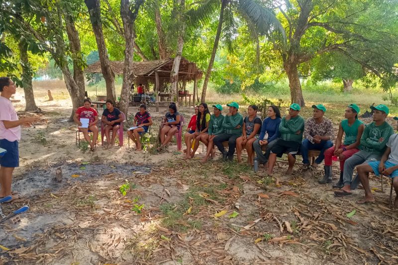 Matéria - Formação de agentes agroflorestais avança na Terra Indígena Alto Rio Guamá com foco em sustentabilidade
Fotos: DGBio/IDEFLOR-Bio/Divulgação
<div class='credito_fotos'>Foto: ASCOM / IDEFLOR-BIO | <a href='/midias/2024/originais/20801_beb46227-df47-b4a7-80a7-0680e04950d7.jpg' download><i class='fa-solid fa-download'></i> Download</a></div>
