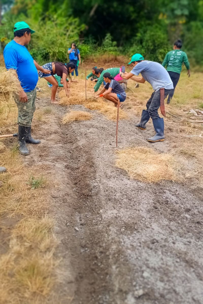 Matéria - Formação de agentes agroflorestais avança na Terra Indígena Alto Rio Guamá com foco em sustentabilidade
Fotos: DGBio/IDEFLOR-Bio/Divulgação
<div class='credito_fotos'>Foto: ASCOM / IDEFLOR-BIO | <a href='/midias/2024/originais/20801_d4e82c96-f2a7-9575-8119-a685b28905cc.jpg' download><i class='fa-solid fa-download'></i> Download</a></div>