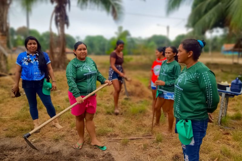 Matéria - Formação de agentes agroflorestais avança na Terra Indígena Alto Rio Guamá com foco em sustentabilidade
Fotos: DGBio/IDEFLOR-Bio/Divulgação
<div class='credito_fotos'>Foto: ASCOM / IDEFLOR-BIO | <a href='/midias/2024/originais/20801_e8fb493c-56e4-5fd4-8df2-cd438df9c399.jpg' download><i class='fa-solid fa-download'></i> Download</a></div>
