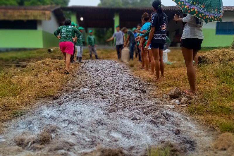Matéria - Formação de agentes agroflorestais avança na Terra Indígena Alto Rio Guamá com foco em sustentabilidade
Fotos: DGBio/IDEFLOR-Bio/Divulgação
<div class='credito_fotos'>Foto: ASCOM / IDEFLOR-BIO | <a href='/midias/2024/originais/20801_ed8a0423-d060-ba78-082e-8ae6a6f92cbe.jpg' download><i class='fa-solid fa-download'></i> Download</a></div>