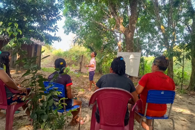 Matéria - Formação de agentes agroflorestais avança na Terra Indígena Alto Rio Guamá com foco em sustentabilidade
Fotos: DGBio/IDEFLOR-Bio/Divulgação
<div class='credito_fotos'>Foto: ASCOM / IDEFLOR-BIO | <a href='/midias/2024/originais/20801_f6fb4484-9f1e-2ebb-c96e-4d51393312b8.jpg' download><i class='fa-solid fa-download'></i> Download</a></div>