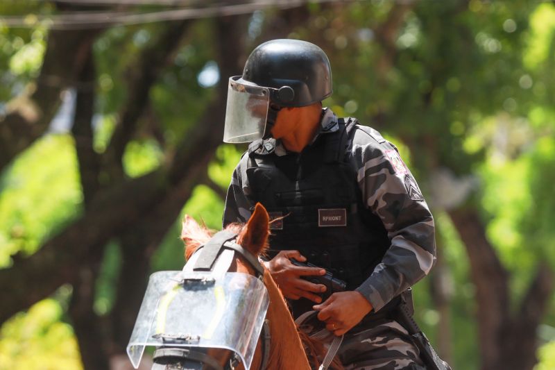 <div class='credito_fotos'>Foto: Bruno Cruz / Agência Pará | <a href='/midias/2024/originais/20828_cf4c2488-1443-2fb4-1fda-2d215f86a5d6.jpg' download><i class='fa-solid fa-download'></i> Download</a></div>