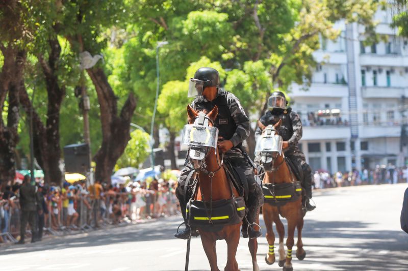 <div class='credito_fotos'>Foto: Bruno Cruz / Agência Pará | <a href='/midias/2024/originais/20828_d3e30c33-66e6-77c1-86dc-36a12850432c.jpg' download><i class='fa-solid fa-download'></i> Download</a></div>