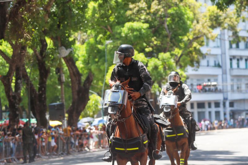 <div class='credito_fotos'>Foto: Bruno Cruz / Agência Pará | <a href='/midias/2024/originais/20828_d8fcb718-88e9-42f0-9390-b4857365855c.jpg' download><i class='fa-solid fa-download'></i> Download</a></div>