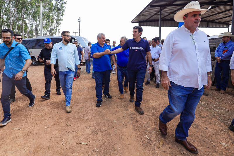 <div class='credito_fotos'>Foto: Bruno Cruz / Agência Pará | <a href='/midias/2024/originais/20849_025fa6cd-84d8-8de9-344f-12ee948a7e5e.jpg' download><i class='fa-solid fa-download'></i> Download</a></div>