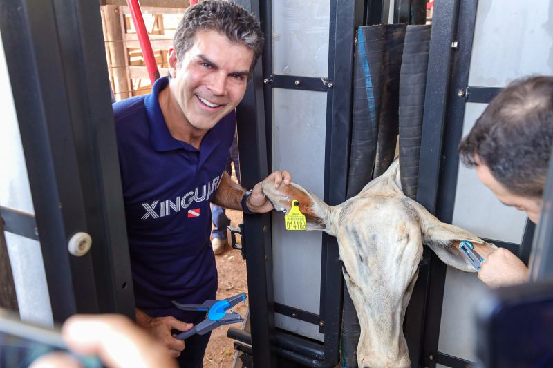 <div class='credito_fotos'>Foto: Bruno Cruz / Agência Pará | <a href='/midias/2024/originais/20849_1926f8be-c671-4aba-56ae-52be9df0f7a4.jpg' download><i class='fa-solid fa-download'></i> Download</a></div>