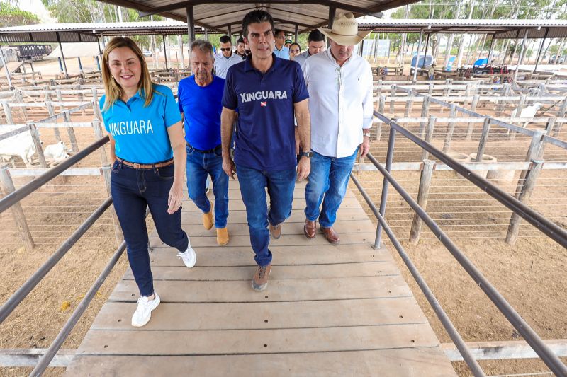 <div class='credito_fotos'>Foto: Bruno Cruz / Agência Pará | <a href='/midias/2024/originais/20849_935fe75f-8b7b-f5d6-a56b-15949c4c2a4b.jpg' download><i class='fa-solid fa-download'></i> Download</a></div>