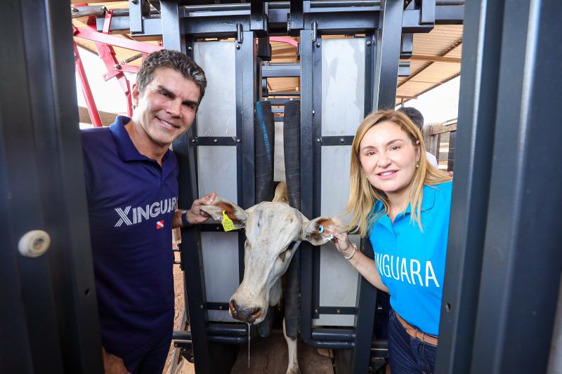 <div class='credito_fotos'>Foto: Bruno Cruz / Agência Pará | <a href='/midias/2024/originais/20849_9bc788bd-5c37-445f-00d7-b29e7c63295a.jpg' download><i class='fa-solid fa-download'></i> Download</a></div>
