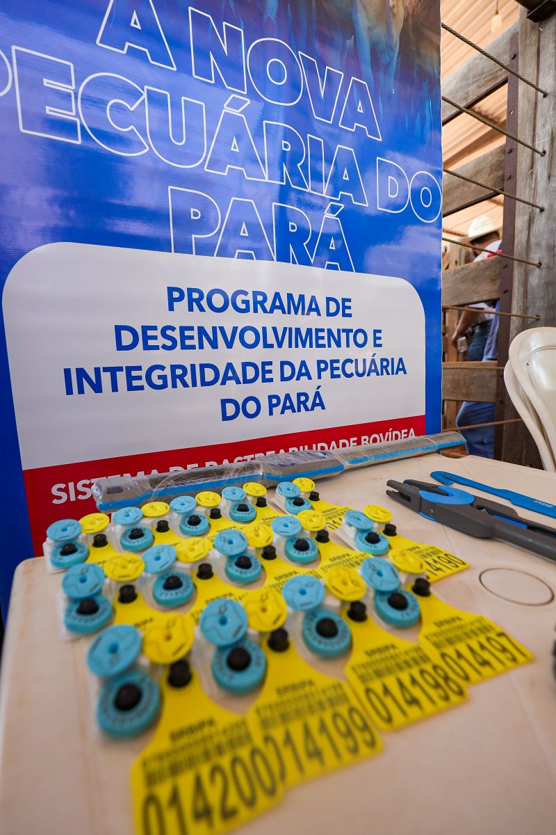 <div class='credito_fotos'>Foto: Bruno Cruz / Agência Pará | <a href='/midias/2024/originais/20849_ae814a8b-0018-ab04-c653-b95b939ac638.jpg' download><i class='fa-solid fa-download'></i> Download</a></div>