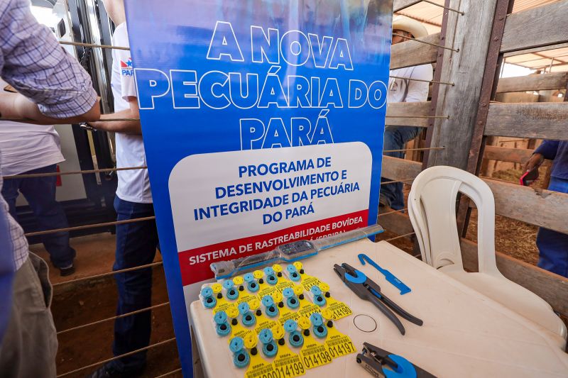 <div class='credito_fotos'>Foto: Bruno Cruz / Agência Pará | <a href='/midias/2024/originais/20849_d1226a4d-ff9c-6a57-4c42-60f756d39480.jpg' download><i class='fa-solid fa-download'></i> Download</a></div>