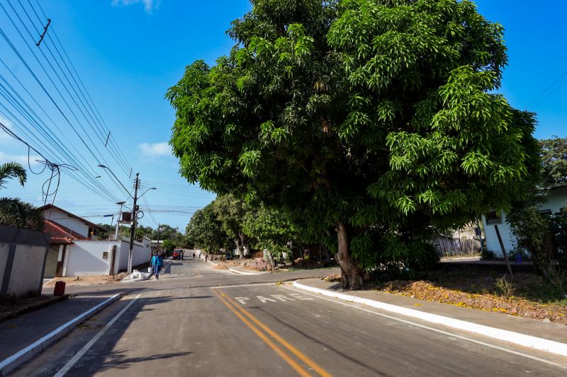 <div class='credito_fotos'>Foto: Bruno Cruz / Agência Pará | <a href='/midias/2024/originais/20895_adf74a7f-ea60-566a-b0bb-18864c026b01.jpg' download><i class='fa-solid fa-download'></i> Download</a></div>