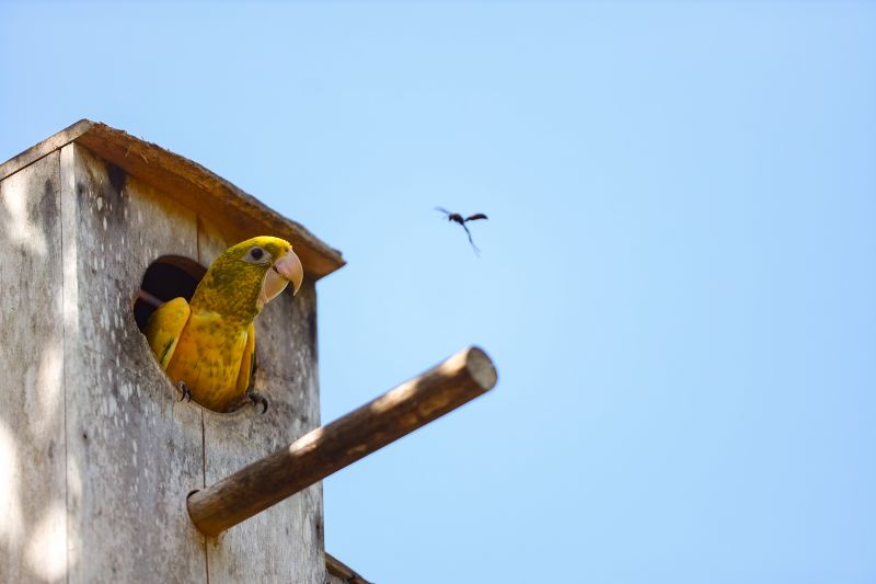 <div class='credito_fotos'>Foto: Bruno Cecim / Ag.Pará | <a href='/midias/2024/originais/20898_5e0d7994-88ea-1f80-b8f4-98ce0091380f.jpg' download><i class='fa-solid fa-download'></i> Download</a></div>