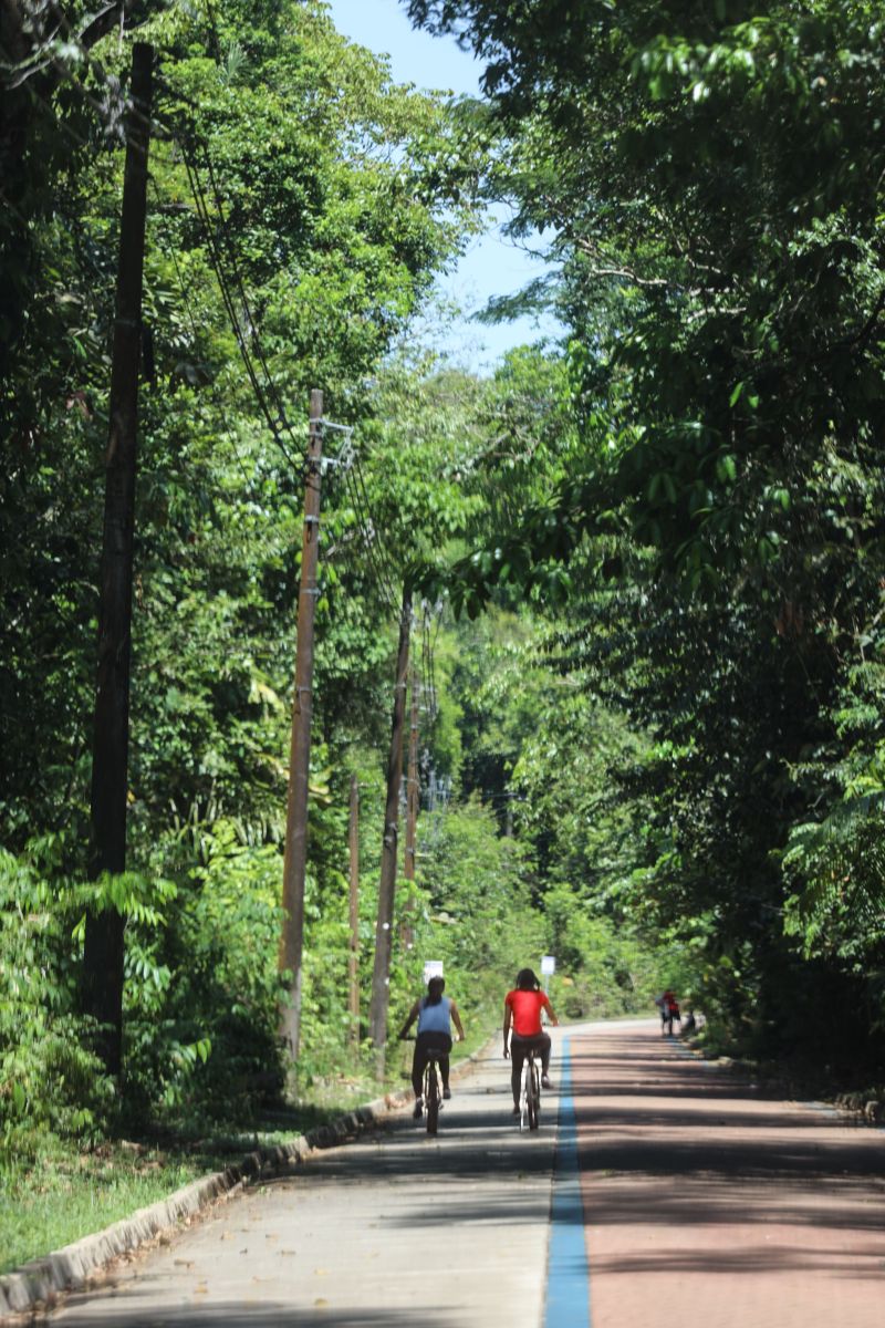 <div class='credito_fotos'>Foto: Bruno Cecim / Ag.Pará | <a href='/midias/2024/originais/20898_a832f18a-cb77-ce59-4c27-9b17ee1b0cf1.jpg' download><i class='fa-solid fa-download'></i> Download</a></div>