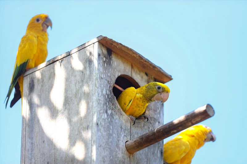 <div class='credito_fotos'>Foto: Bruno Cecim / Ag.Pará | <a href='/midias/2024/originais/20898_d20fdfff-c0e5-d407-aeb1-119fb238ecd4.jpg' download><i class='fa-solid fa-download'></i> Download</a></div>