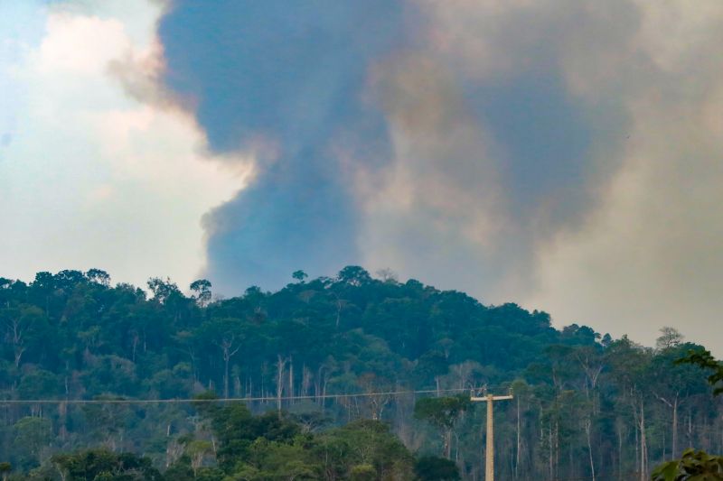 <div class='credito_fotos'>Foto: Pedro Guerreiro / Ag. Pará | <a href='/midias/2024/originais/20923_c08a86f2-c399-9b5d-7427-f6e55e406e38.jpg' download><i class='fa-solid fa-download'></i> Download</a></div>