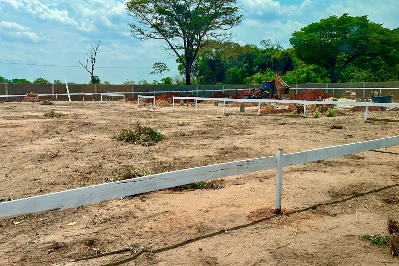 <div class='credito_fotos'>Foto: Roni Moreira / Ag.Pará | <a href='/midias/2024/originais/20935_38e2206f-2641-66a1-d851-7d6244ce263e.jpg' download><i class='fa-solid fa-download'></i> Download</a></div>