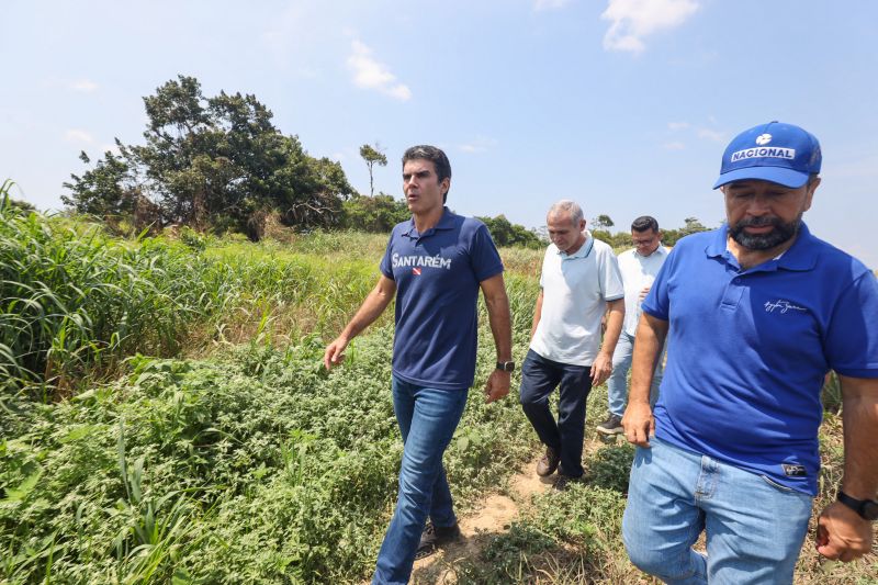 <div class='credito_fotos'>Foto: Bruno Cruz / Agência Pará | <a href='/midias/2024/originais/21099_8be0c487-af1a-1c21-b00e-6f809826529c.jpg' download><i class='fa-solid fa-download'></i> Download</a></div>
