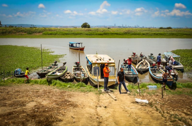 <div class='credito_fotos'>Foto: Bruno Cruz / Agência Pará | <a href='/midias/2024/originais/21099_e65ebce1-e227-0aaa-1b3a-abfe23664499.jpg' download><i class='fa-solid fa-download'></i> Download</a></div>