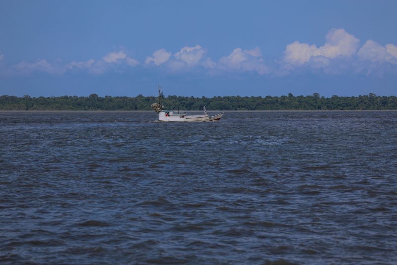 <div class='credito_fotos'>Foto: Marco Santos / Ag. Pará | <a href='/midias/2024/originais/21111_174a8413-cd7c-2d8a-6f3f-f44690c40451.jpg' download><i class='fa-solid fa-download'></i> Download</a></div>