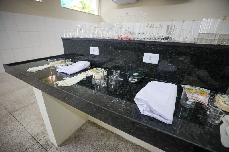 <div class='credito_fotos'>Foto: Rodrigo Pinheiro / Ag.Pará | <a href='/midias/2024/originais/21148_3495b76a-6c3f-11cb-b85a-ae2ae5ac2b6b.jpg' download><i class='fa-solid fa-download'></i> Download</a></div>