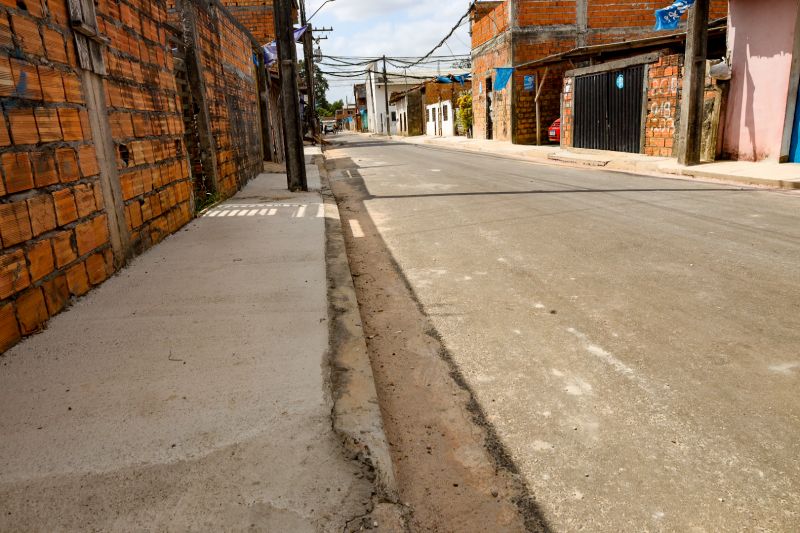 <div class='credito_fotos'>Foto: Alex Ribeiro / Ag. Pará | <a href='/midias/2024/originais/21151_7f025dcb-bb40-a3f6-3ec4-525cbbb94abb.jpg' download><i class='fa-solid fa-download'></i> Download</a></div>