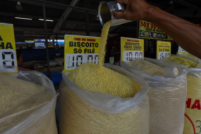 <div class='credito_fotos'>Foto: Alex Ribeiro / Ag. Pará | <a href='/midias/2024/originais/21218_fc5c56c6-ba43-35f2-eb76-bdcc883cc3c4.jpg' download><i class='fa-solid fa-download'></i> Download</a></div>