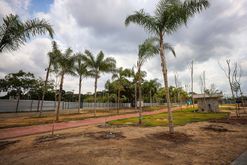 <div class='credito_fotos'>Foto: Rodrigo Pinheiro / Ag.Pará | <a href='/midias/2024/originais/21280_ec07f143-4c6e-354c-749e-3f1268a26caa.jpg' download><i class='fa-solid fa-download'></i> Download</a></div>