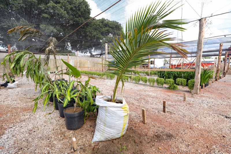 <div class='credito_fotos'>Foto: Marcelo Lelis / Ag. Pará | <a href='/midias/2024/originais/21345_218ea37d-bff7-a85e-129a-7a7a48087d7b.jpg' download><i class='fa-solid fa-download'></i> Download</a></div>