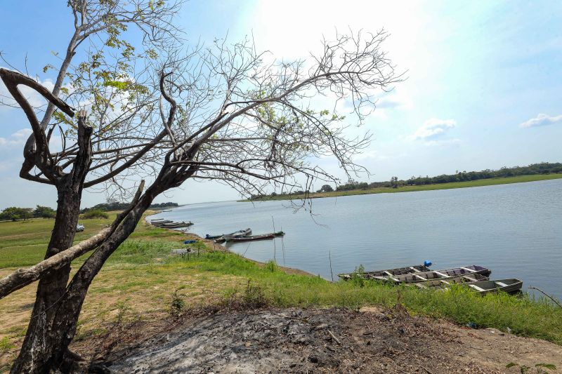 <div class='credito_fotos'>Foto: Marcelo Lelis / Ag. Pará | <a href='/midias/2024/originais/21357_4b6f79c4-7b37-ca13-acde-3297621b8a66.jpg' download><i class='fa-solid fa-download'></i> Download</a></div>