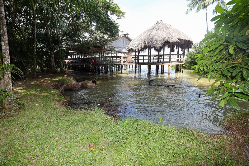  <div class='credito_fotos'>Foto: Bruno Cruz / Ag. Pará &nbsp;&nbsp;|&nbsp;&nbsp; <a href='/midias/2024/originais/21366_20b9723d-cdd0-f582-2807-89096f0cde5a.jpg' download><i class='fa-solid fa-download'></i> Download</a></div>