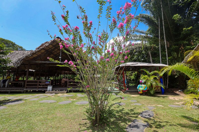  <div class='credito_fotos'>Foto: Bruno Cruz / Ag. Pará &nbsp;&nbsp;|&nbsp;&nbsp; <a href='/midias/2024/originais/21366_2d6dc981-b917-9392-c1d5-79fce403a17a.jpg' download><i class='fa-solid fa-download'></i> Download</a></div>