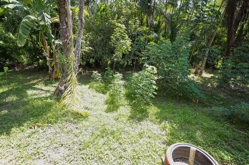  <div class='credito_fotos'>Foto: Bruno Cruz / Ag. Pará &nbsp;&nbsp;|&nbsp;&nbsp; <a href='/midias/2024/originais/21366_466a571b-d680-62aa-abe6-eb13dc06e21b.jpg' download><i class='fa-solid fa-download'></i> Download</a></div>