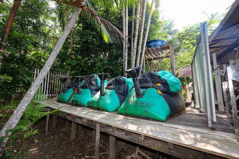  <div class='credito_fotos'>Foto: Bruno Cruz / Ag. Pará &nbsp;&nbsp;|&nbsp;&nbsp; <a href='/midias/2024/originais/21366_8e74d4f4-e7c9-8bfd-837f-db5fbdf886e4.jpg' download><i class='fa-solid fa-download'></i> Download</a></div>