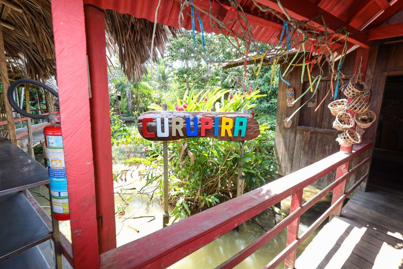  <div class='credito_fotos'>Foto: Bruno Cruz / Ag. Pará &nbsp;&nbsp;|&nbsp;&nbsp; <a href='/midias/2024/originais/21366_a53bd3ee-296f-9a83-f5b4-b25d2729e431.jpg' download><i class='fa-solid fa-download'></i> Download</a></div>