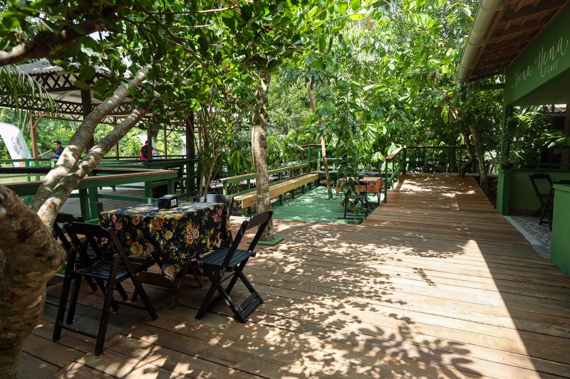  <div class='credito_fotos'>Foto: Bruno Cruz / Ag. Pará &nbsp;&nbsp;|&nbsp;&nbsp; <a href='/midias/2024/originais/21366_a679e48c-1466-5da6-5cac-18e18706b806.jpg' download><i class='fa-solid fa-download'></i> Download</a></div>