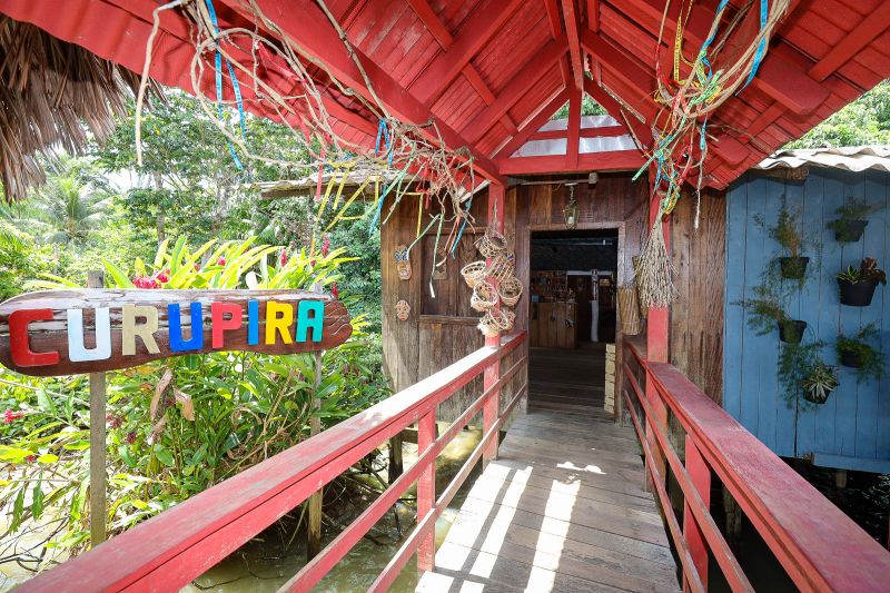  <div class='credito_fotos'>Foto: Bruno Cruz / Ag. Pará &nbsp;&nbsp;|&nbsp;&nbsp; <a href='/midias/2024/originais/21366_ac265266-bd24-9187-f26d-e29d817e6ad0.jpg' download><i class='fa-solid fa-download'></i> Download</a></div>