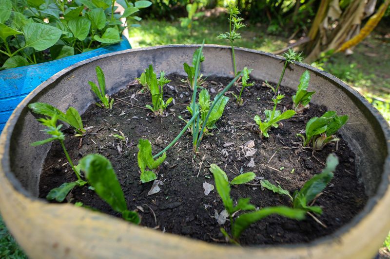  <div class='credito_fotos'>Foto: Bruno Cruz / Ag. Pará &nbsp;&nbsp;|&nbsp;&nbsp; <a href='/midias/2024/originais/21366_c8c8fab8-7186-6843-3ec5-3ef998442d38.jpg' download><i class='fa-solid fa-download'></i> Download</a></div>