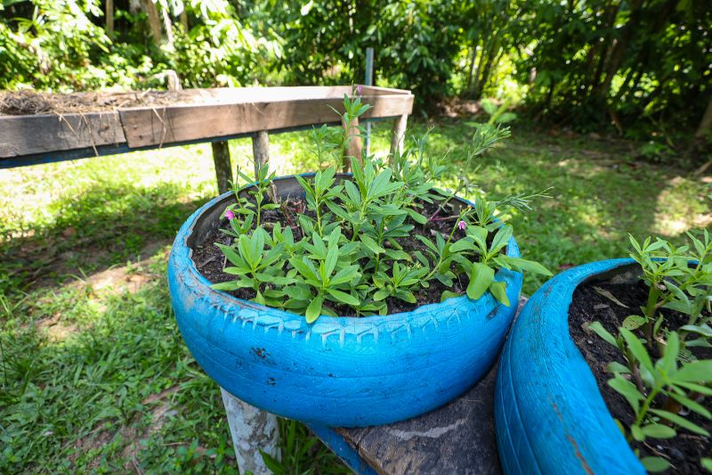  <div class='credito_fotos'>Foto: Bruno Cruz / Ag. Pará &nbsp;&nbsp;|&nbsp;&nbsp; <a href='/midias/2024/originais/21366_ca02c31e-a2be-7292-84ec-7c827fce8eb5.jpg' download><i class='fa-solid fa-download'></i> Download</a></div>