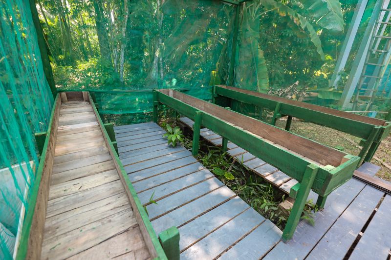  <div class='credito_fotos'>Foto: Bruno Cruz / Ag. Pará &nbsp;&nbsp;|&nbsp;&nbsp; <a href='/midias/2024/originais/21366_fef538c1-637d-c585-2a42-213828e533c5.jpg' download><i class='fa-solid fa-download'></i> Download</a></div>