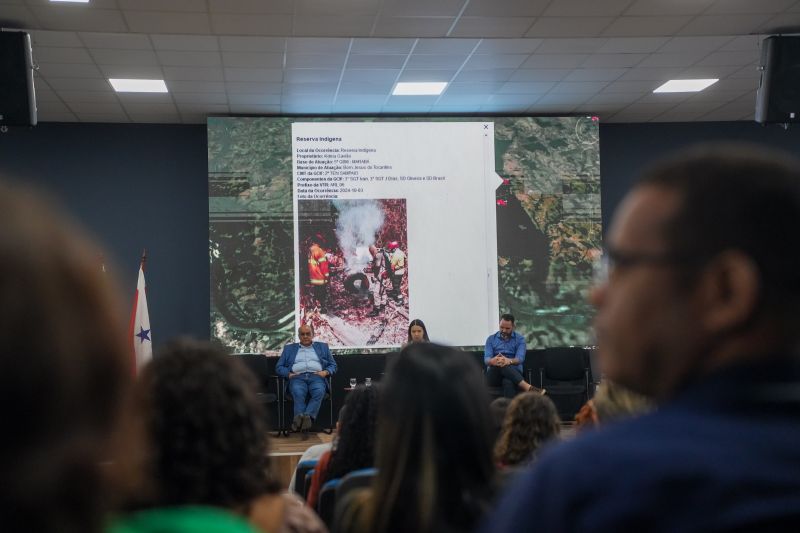 <div class='credito_fotos'>Foto: Raphael Luz / Ag. Pará | <a href='/midias/2024/originais/22460_00418996-755a-c656-826e-12ee2c29065c.jpg' download><i class='fa-solid fa-download'></i> Download</a></div>